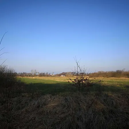 Moewenweg 8 - Damme Gm 69180 * Graal-Mueritz